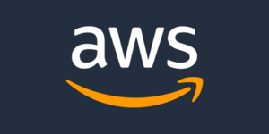 Amazon data center protests fail to stop development getting green light
