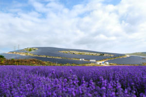 Apple Secures Over 650MW of Renewable Capacity across Europe