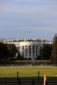 Biden orders companies to report large compute deployments to US gov