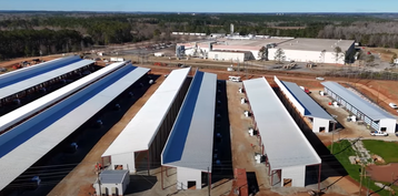 CleanSpark Partners with Submer for AI Data Center Pivot