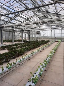 Equinix announces new sustainability initiative to share waste heat in Paris