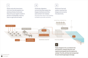 Frontier to Purchase Carbon Removal Credits from Reverion