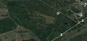 Google confirms expansion in South Carolina