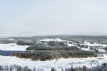 Google has Acquired a 900-hectare Site in Finland for the Development of a New Data Center