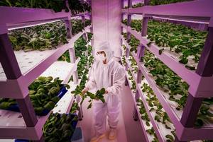 Indoor vertical farm on the way for former Digital Realty data center in Herndon, Virginia