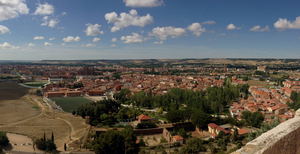 Interxion: Foresting project underway in Palencia, Spain