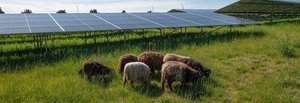 LCL to deploy more solar panels at its data center in Gembloux