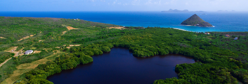Marwynn Holdings signed a non-binding memorandum of understanding with Grenada National Resort to evaluate an AI data center and solar plant in Grenada. The agreement, [announced](https://www.globe...