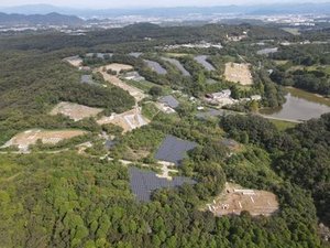 Microsoft, Shizen Energy sign 20-year solar PPA