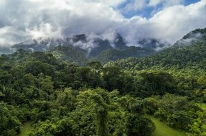 Microsoft signs carbon removal deal in Mexico