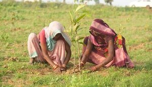 Microsoft to Purchase 1.5 Million Tons of Carbon Removal Credits in India