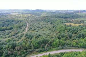 Old coal mine designated for data centers in Wise County, Virginia