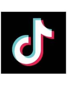 Operations commence at TikTok's Irish data center