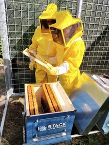 Stack installs beehives at data center campus in Milan