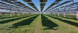 STMicroelectronics signs 43MW PPA with TSE in France