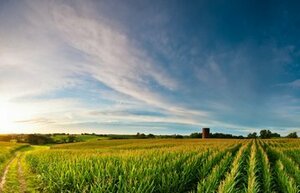 US Cellular to use Ericsson routers for rural 5G network expansion